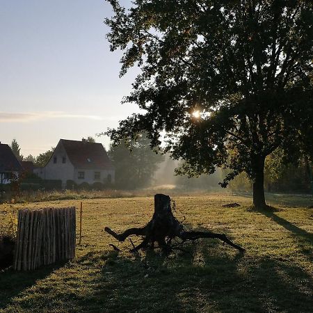 Ferienwohnung & Campingplatz Vor Dem Berg Heideblick Eksteriør billede