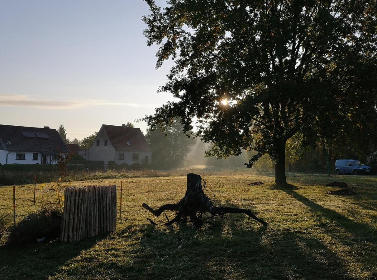 Ferienwohnung & Campingplatz Vor Dem Berg Heideblick Eksteriør billede