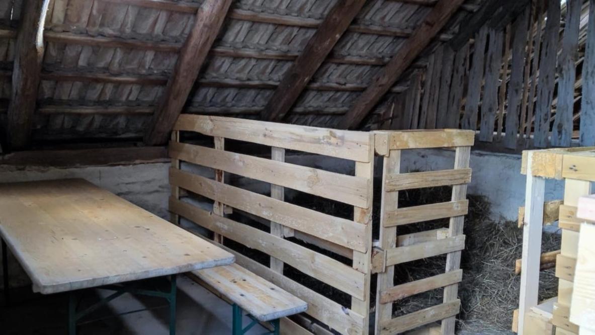 Ferienwohnung & Campingplatz Vor Dem Berg Heideblick Eksteriør billede